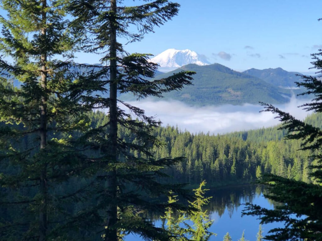 CourtSchurmanGO.com 2025-12-25