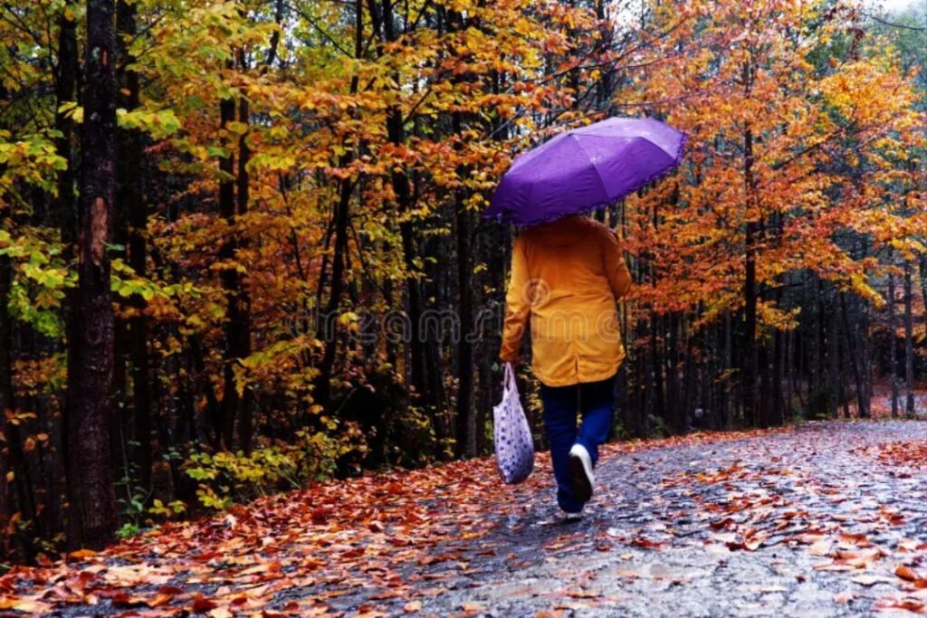 2,439 Away Fall Walk Stock Photos - Free & Royalty-Free Stock