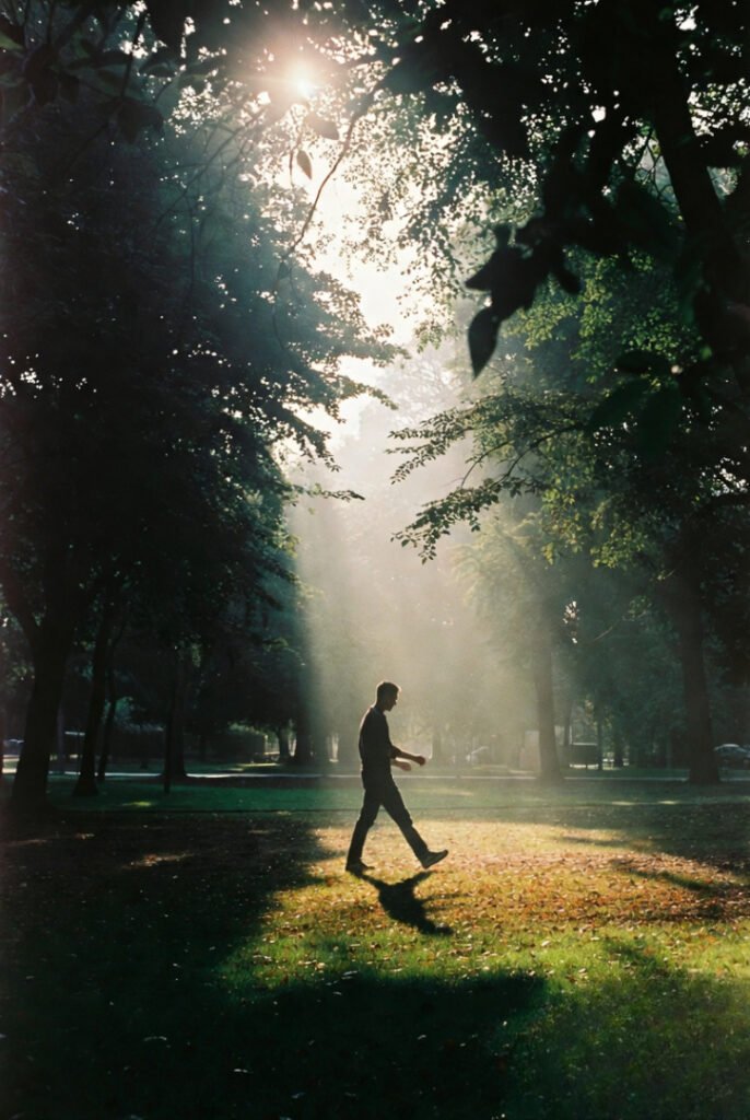 A person walking through a sunlit park with tall trees, soft golden light filtering through leaves.